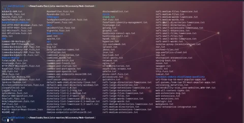 Discovery web content wordlists