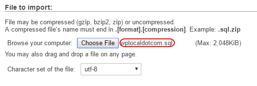 A screenshot of file to import with choose file button.