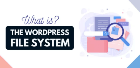 The WordPress file system