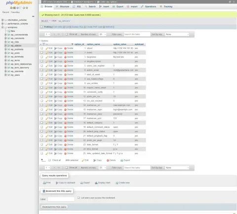 WP options table schema