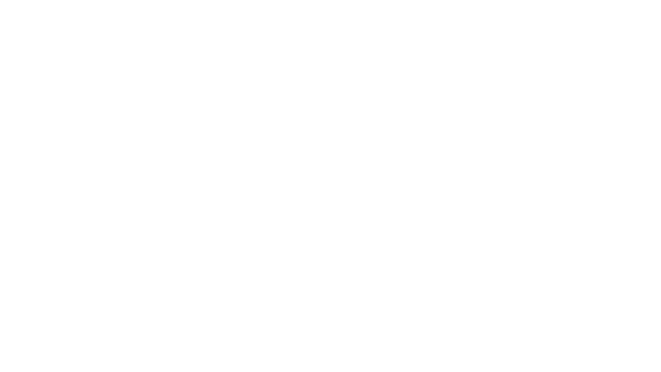 fly wheel