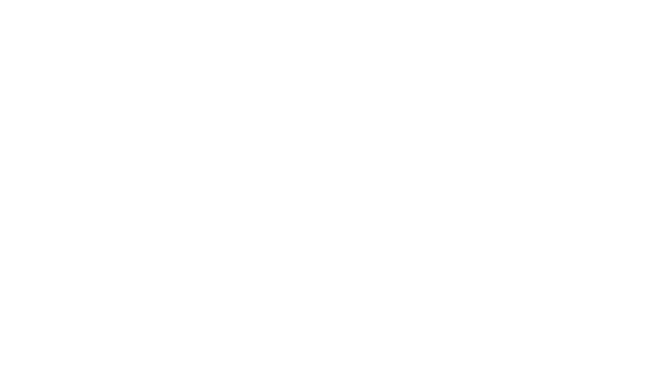 Bosch logo