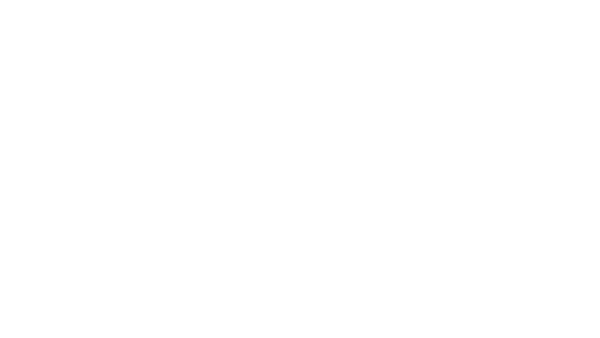 Niginx logo