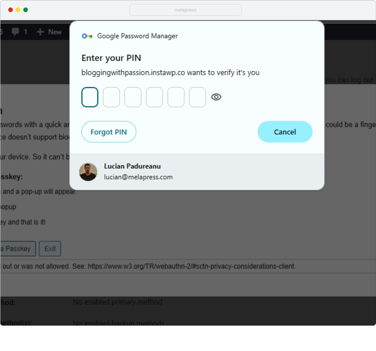 a screenshot of enter your pin window