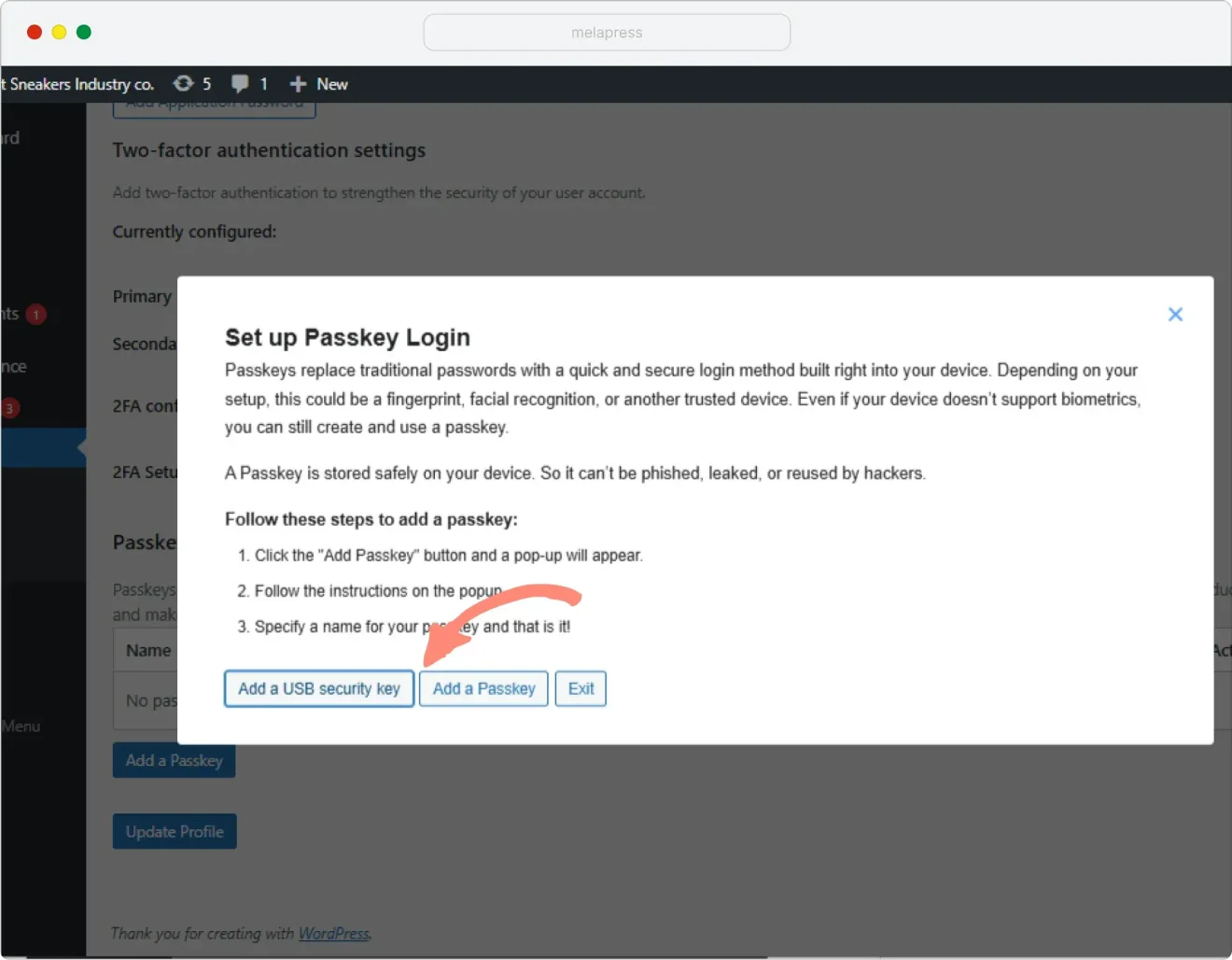 A screenshot of set up passkey login tab