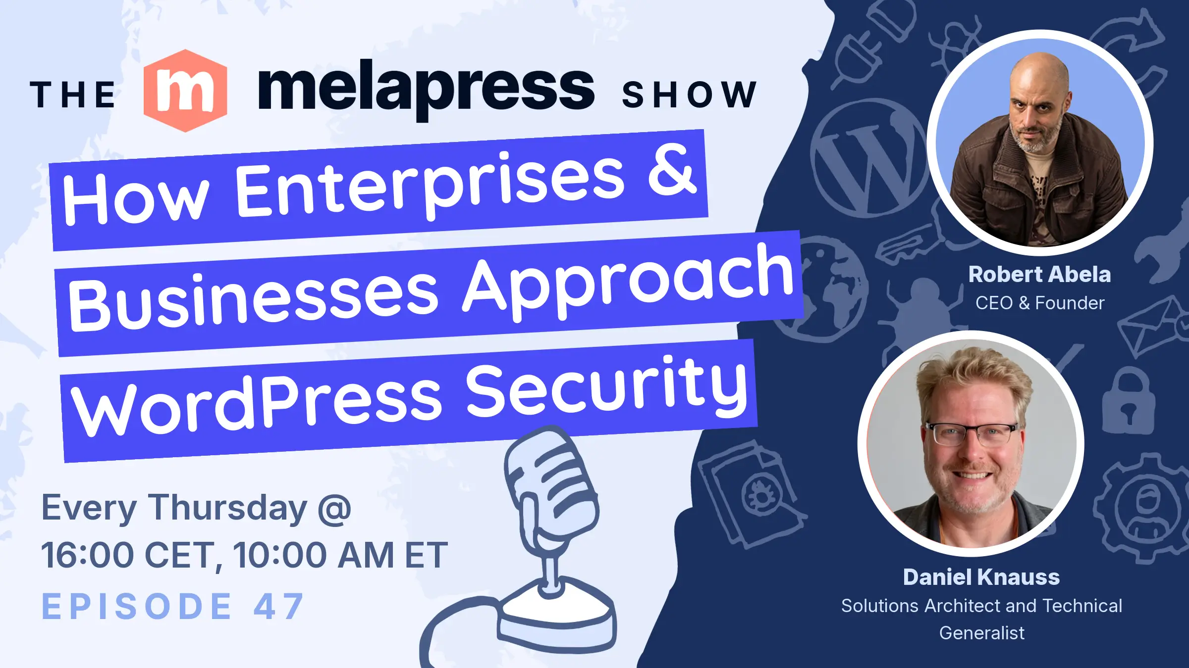 How Enterprises and Businesses Approach WordPress Security with Dan Knauss